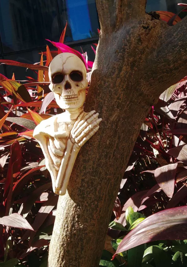 Fashion 14" Skeleton Tree Peeker Halloween Decoration Outdoor Decorations