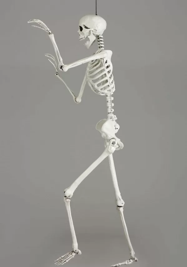 Clearance 5 Foot Posable Georgie The Skeleton Life Size Halloween Decoration Halloween Props