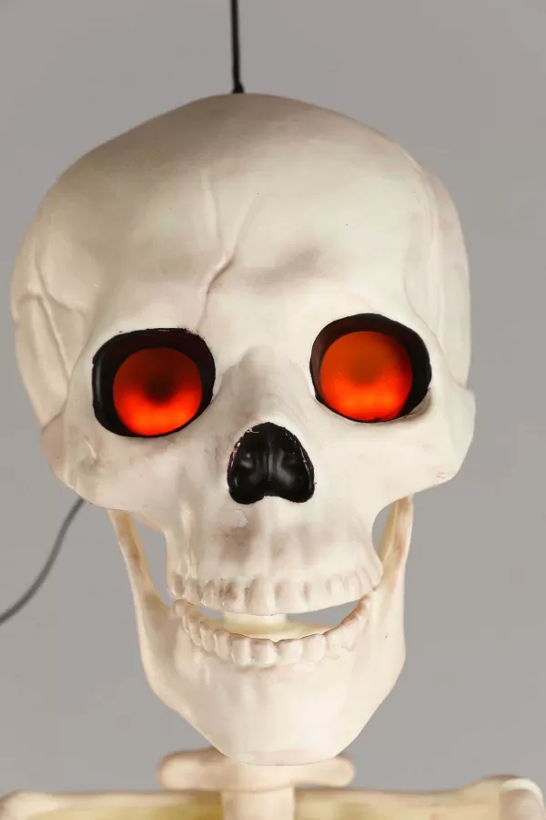 Flash Sale 5Ft Deluxe Flaming Light Up Eyes & Talking Skeleton Halloween Decoration Outdoor Decorations