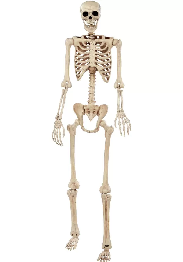 Outlet 74-Inch Skeleton Halloween Decoration Outdoor Decorations