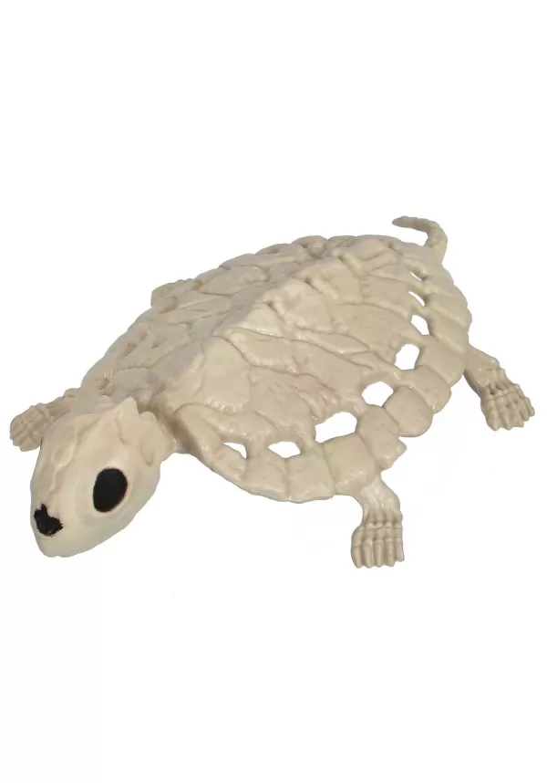 Cheap 8-Inch Skeleton Turtle Decoration Indoor Decorations