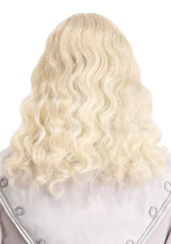 Outlet Adult Headmaster Wizard Wig And Beard Mustaches / Beards