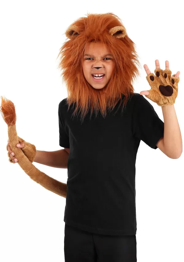 Fashion Children Deluxe Lion Kit Accessory Kits