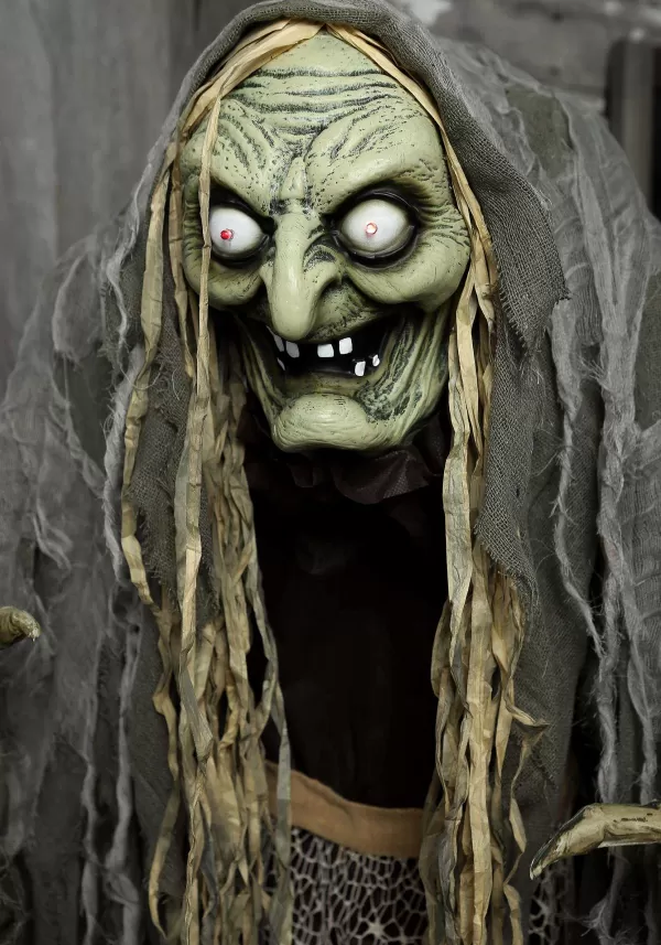 New Hag The Witch 5 Foot Animatronic Decoration Animatronics