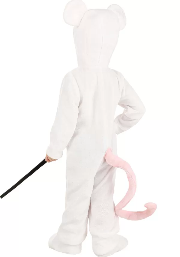Cheap Nursery Rhyme Blind Mice Costume For Toddlers Toddler Costumes