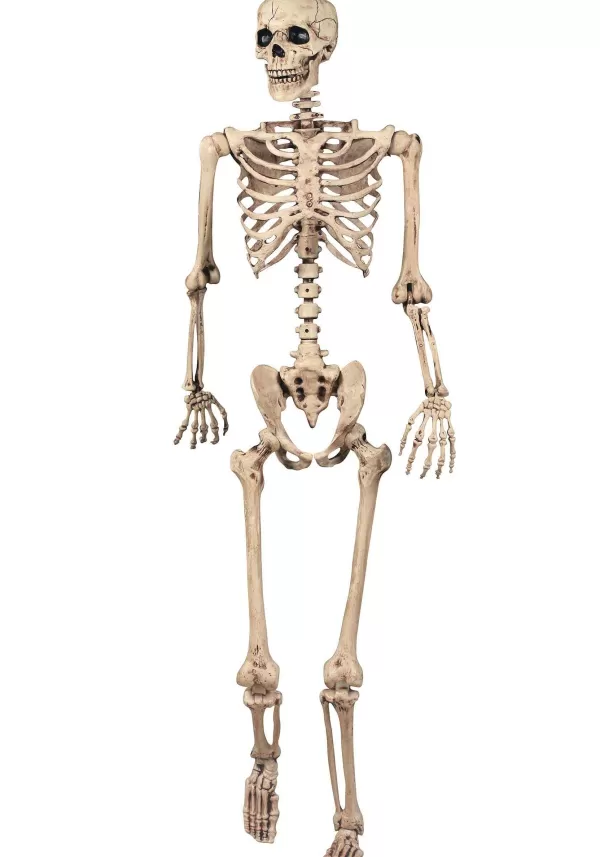 New Realistic Poseable Skeleton Halloween Prop Outdoor Decorations