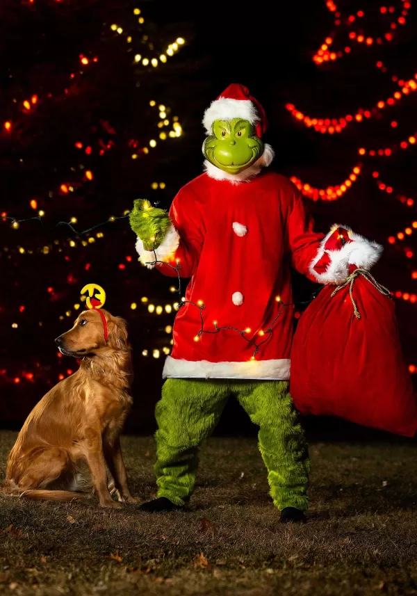 Online The Grinch Max Headband Costume Headbands